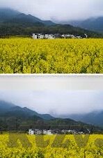 麻豆传煤app安卓下载-麻豆传媒界的移动新风尚——安卓平台上的攻速体验